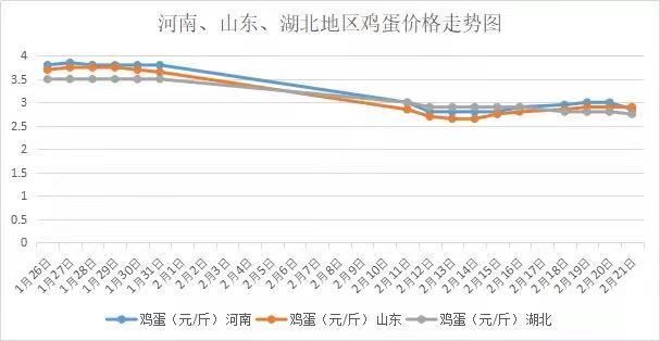 今日鸡蛋价格市场动态与消费观点