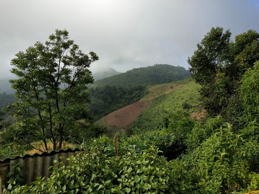 佤邦自然之旅，探索最新新闻与寻找内心平静的旅程