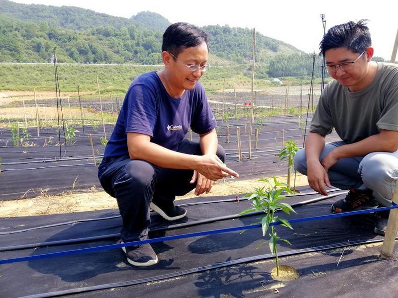 肇庆封开最新新闻报道