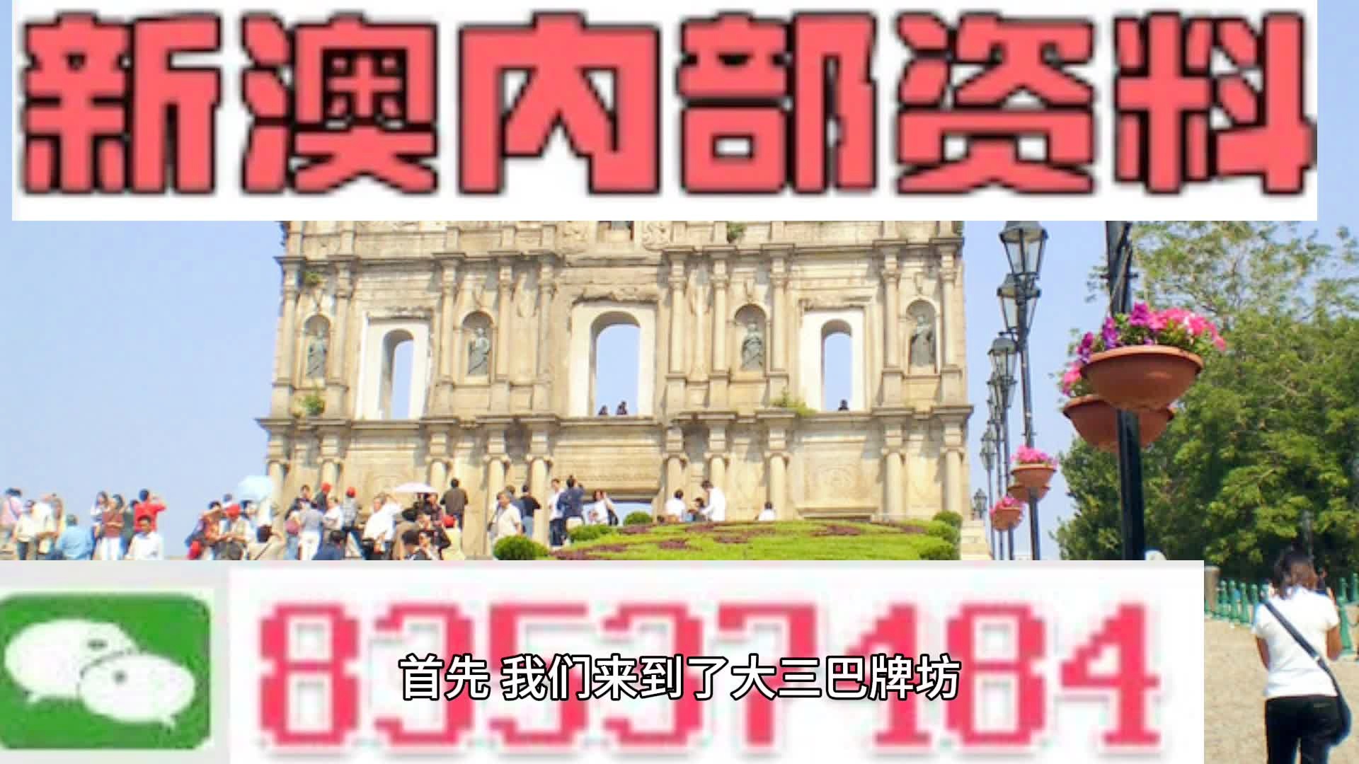 2024新澳最精准资料,持续计划解析_R版94.246