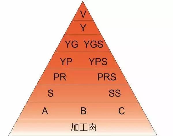 新澳姿料大全正版2024,完善的执行机制分析_YP版11.132