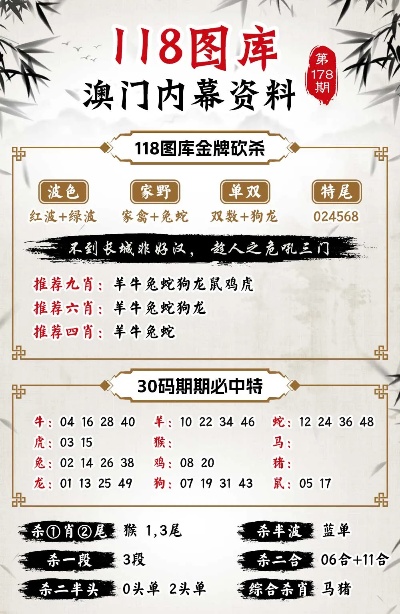 2O24澳彩管家婆资料传真,专业分析说明_精选版58.801