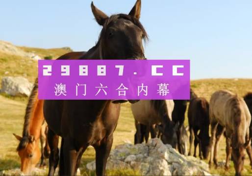 澳门管家婆一肖一码一中一,深化探讨解答解释路径_普及型10.304