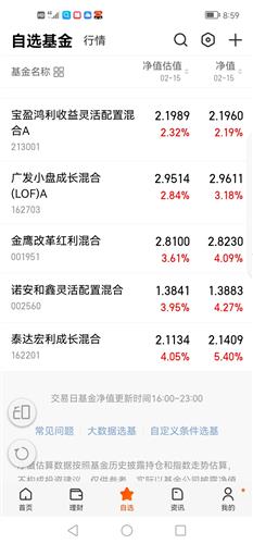 新奥今天开奖结果查询,卓越解答解释执行_XT款34.837