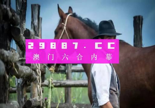 澳门一肖一码最准一码,实地执行验证计划_轻松版8.437