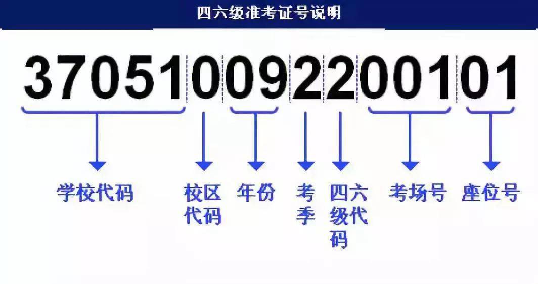 2004新奥精准资料免费提供,现代解答措施解释技术_影像款27.846