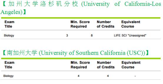 最准一肖100%最准的资料,实地计划设计验证_历史型80.728