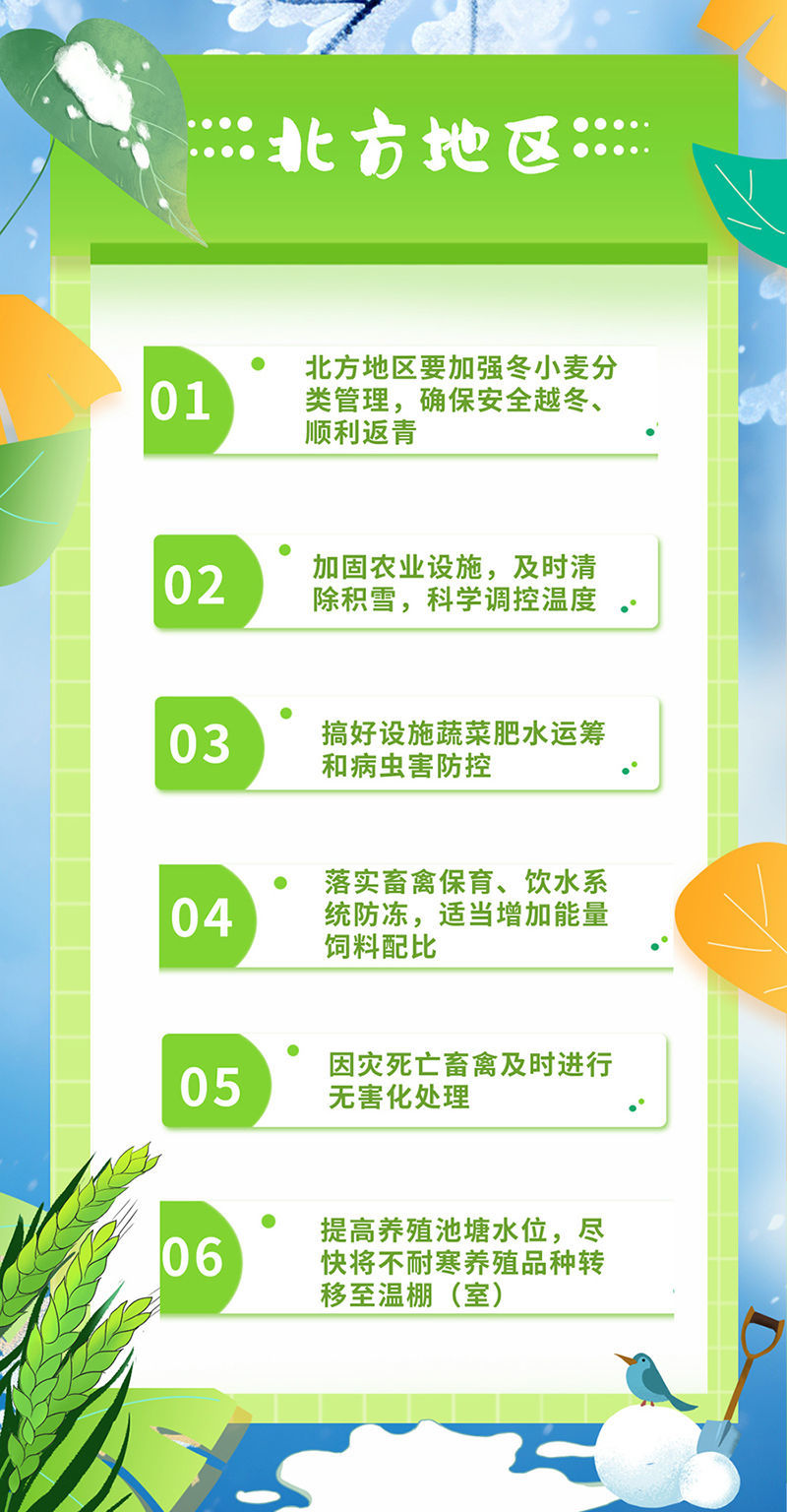 管家婆正版全年免费资料的优势,高效策略应用计划解答_个人版12.569