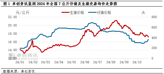 最新猪价格，市场动态与经济影响分析