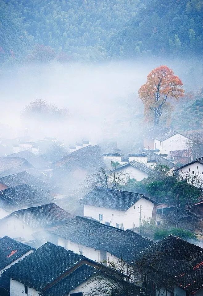 吉林最新疫情，探索疫情下的自然美景，寻找内心的平静