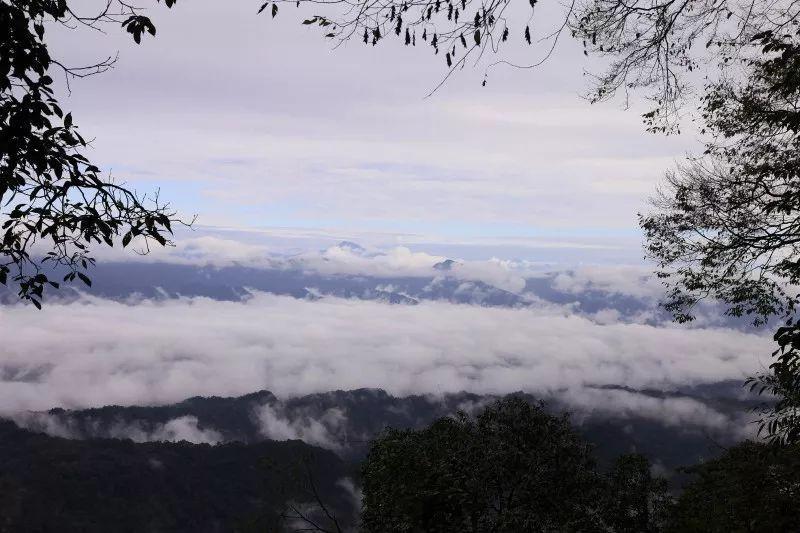 美国电影，探索自然美景，寻找内心平静的旅行之旅