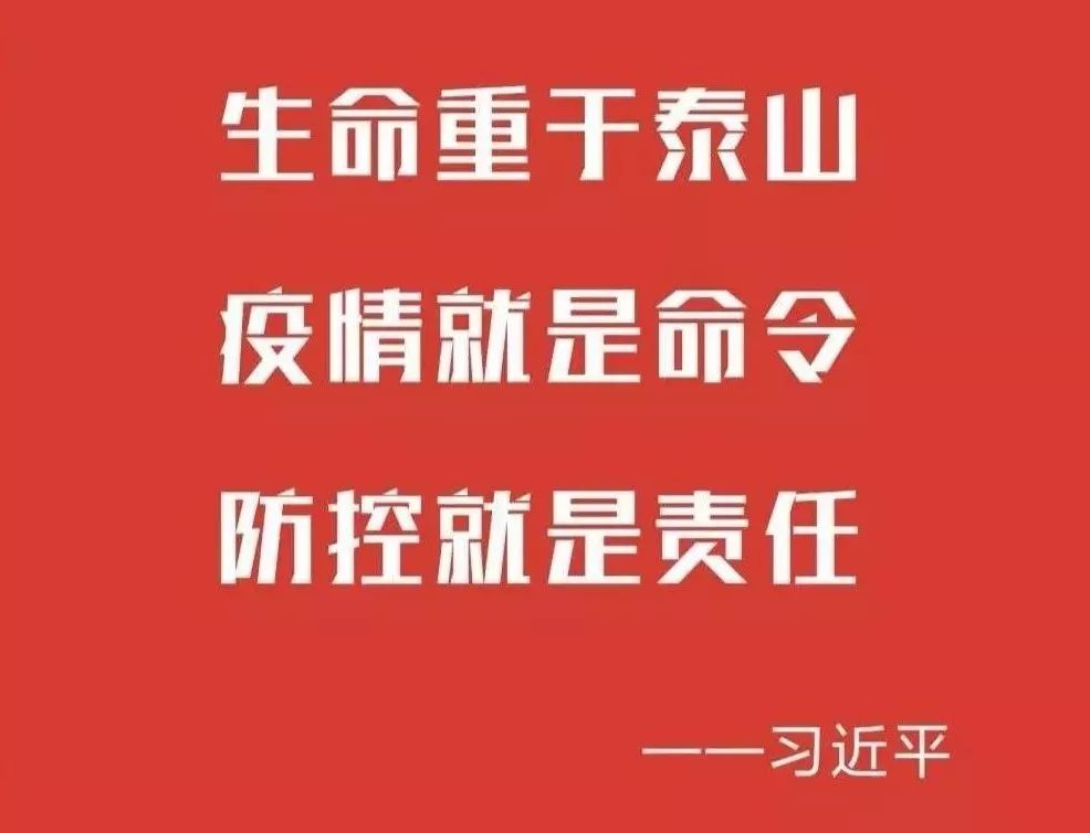 肺炎最新情况论述，全球疫情进展与防控策略分析