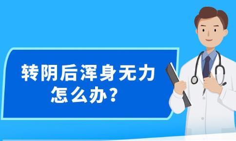 2024年新澳精准资料免费提供网站,全局解释解答执行_修正版55.111