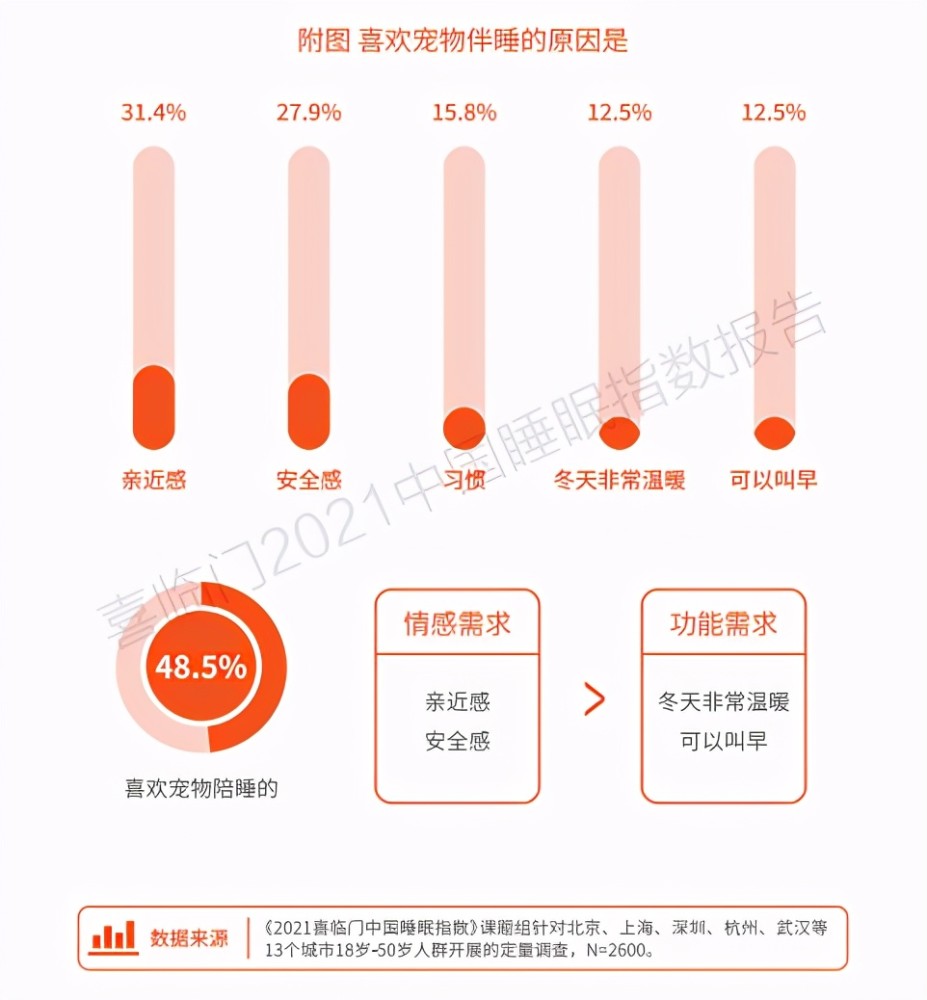 黑鲨最新，爱与陪伴的温馨故事