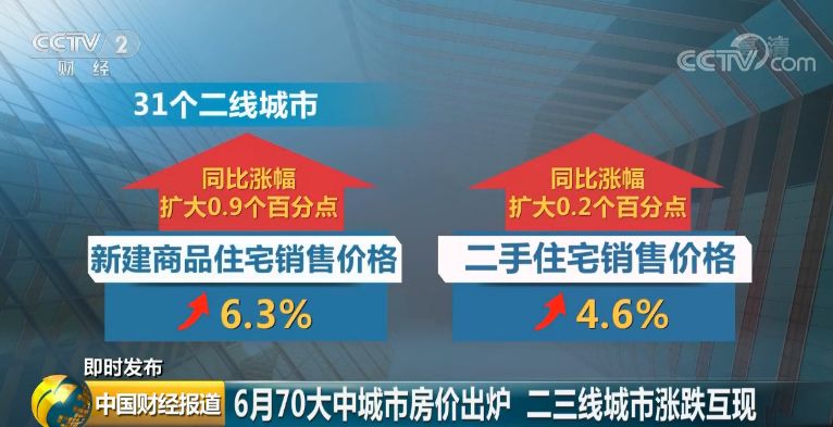 新澳门六开资料大全,实地数据验证分析_升级品2.178