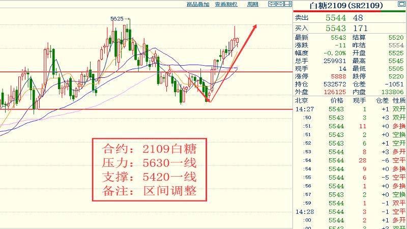 2024澳门特马今晚开奖53期,详尽解答解释落实_专门版48.39