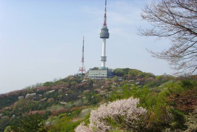 中韩雇佣制最新动态及自然美景之旅，探寻内心宁静与平和