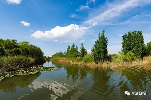 白泉湿地公园最新动态，探索自然美景，寻觅内心宁静与平静之泉的梦幻之旅