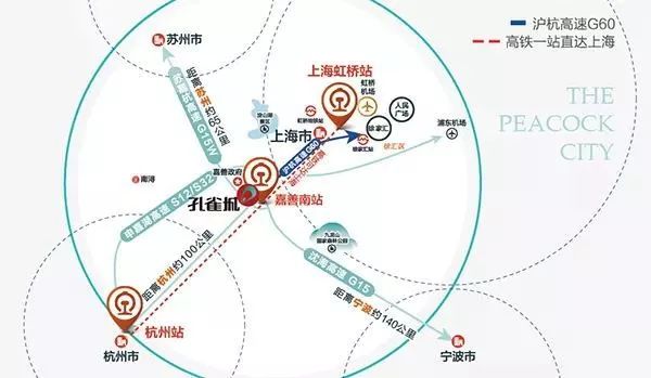 关门打狗 第6页