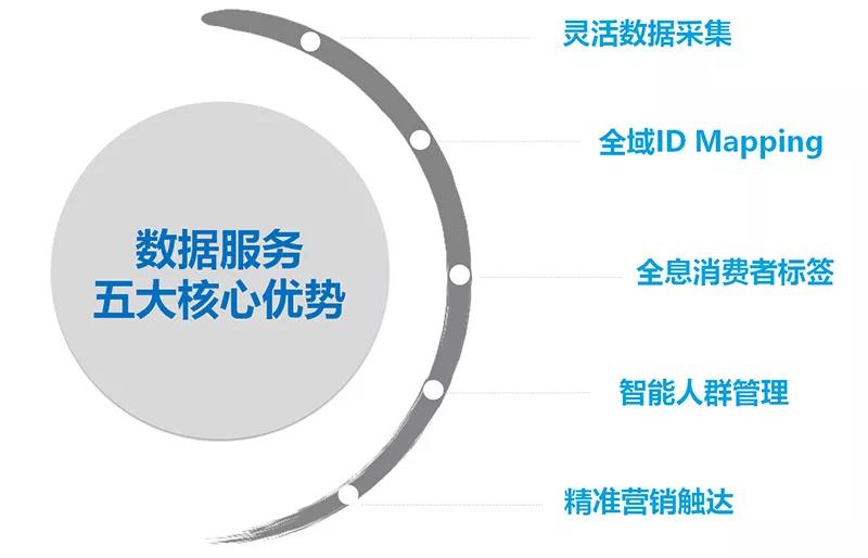 动态词解析助手：精准管家婆TCS56.1参与版体验