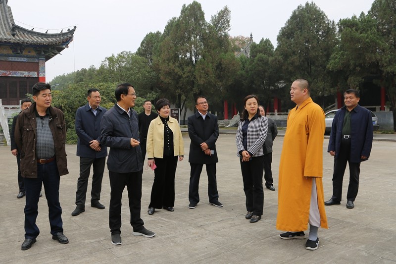 河北石家庄疫情下的自然之旅，寻求内心的宁静与平和