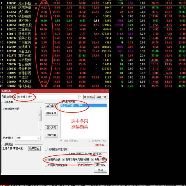 管家婆精准一肖中宝典，全面评测解析_大众版OSE672.62