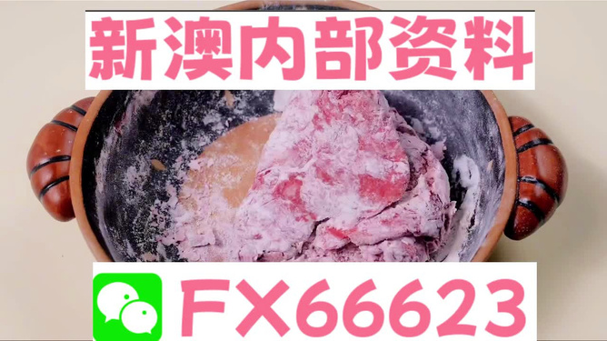 新澳门内部一码精准公开,动态词语解析_私密版ITF831.32