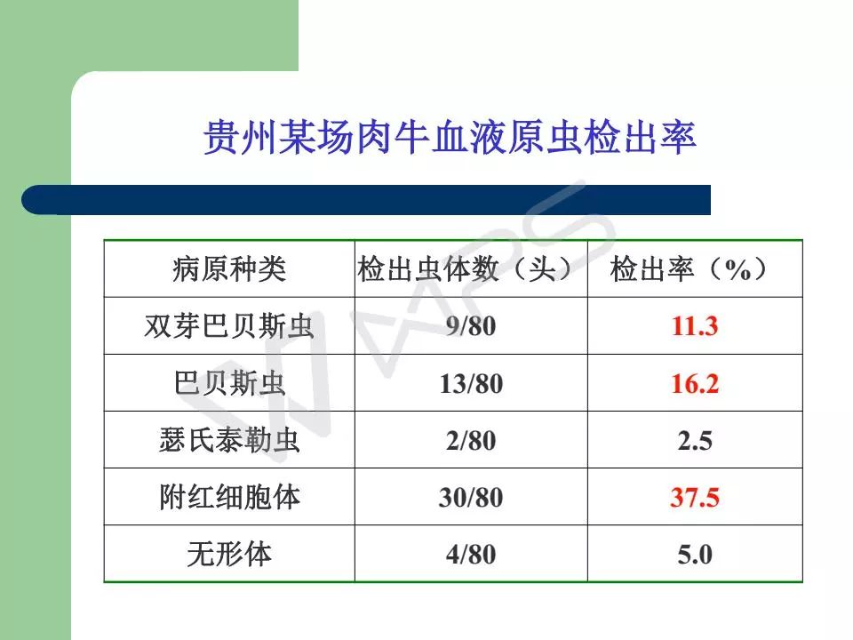 2024新澳精准资料免费,综合判断解析解答_国际版830.35