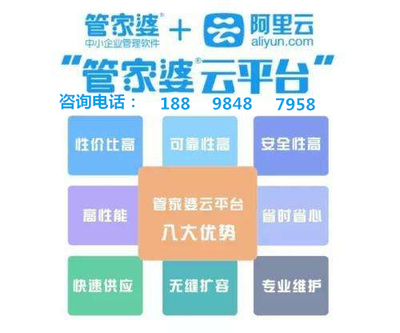 管家婆老家探秘：数据解析_大师版ZXC280.84深度解读