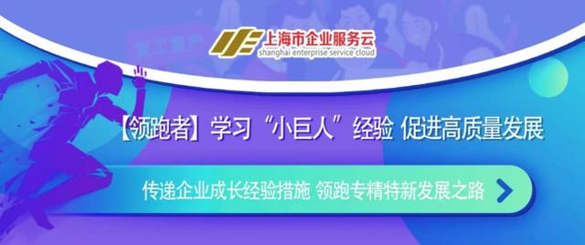 2024年澳门正版资料大全免费索取，家野中特精选，COX361.86版深度分析