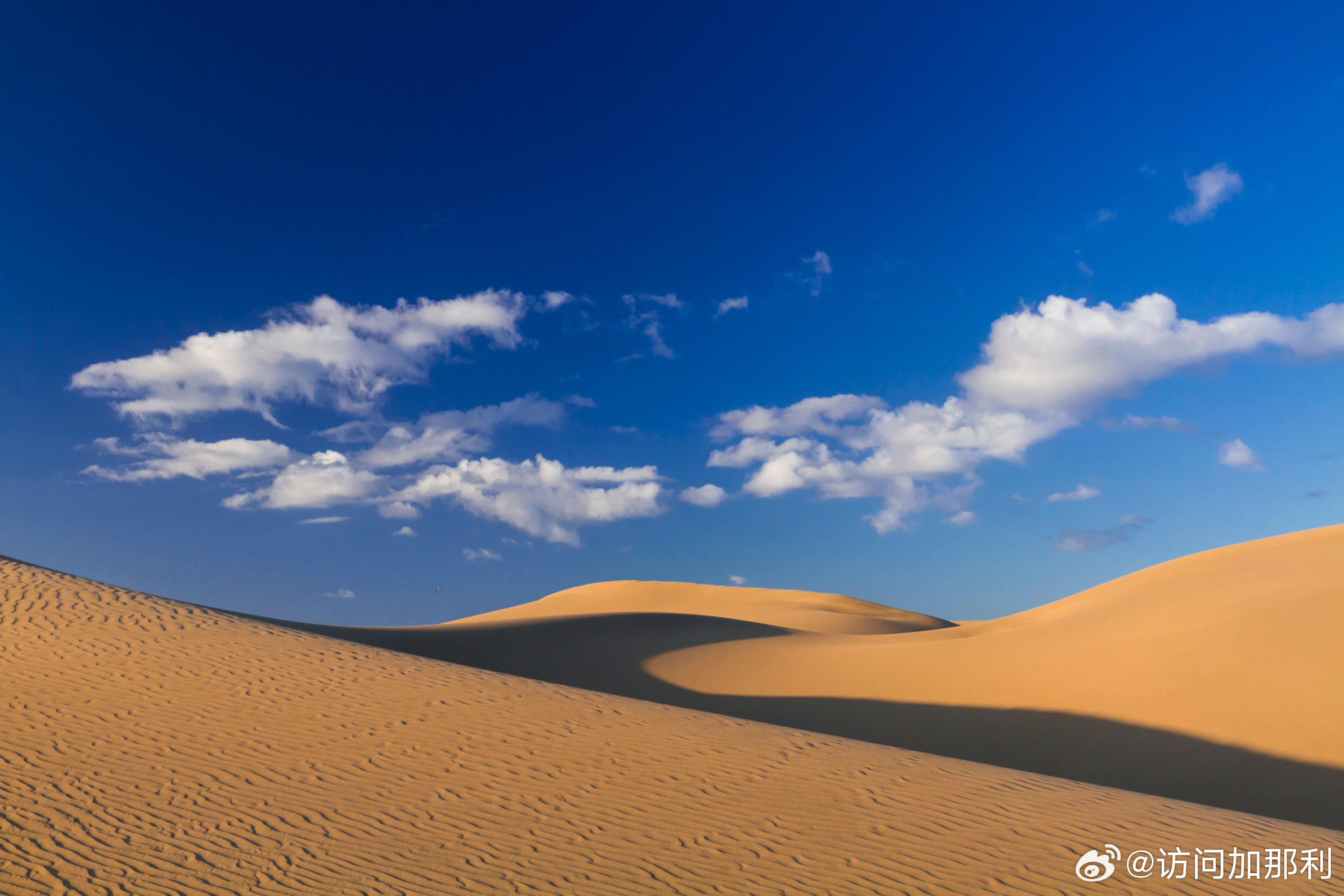 移动最新政策，心灵与自然的美景之旅启程