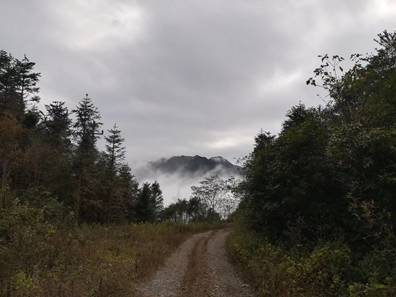 李炎最新动态，自然美景探索之旅的心灵洗礼与重生体验