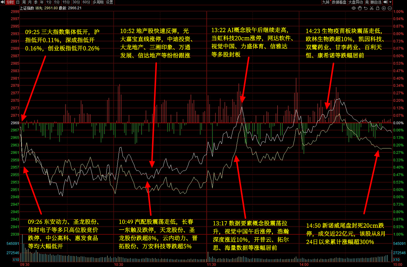 新奥精准特新版案例解析：仙武境RWM562.6深度分析