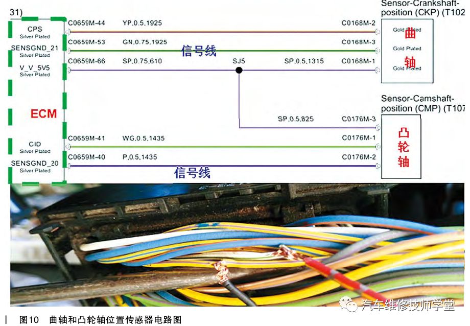 金丹境BOF824.22：新澳好彩资料查询，研究解读新动态