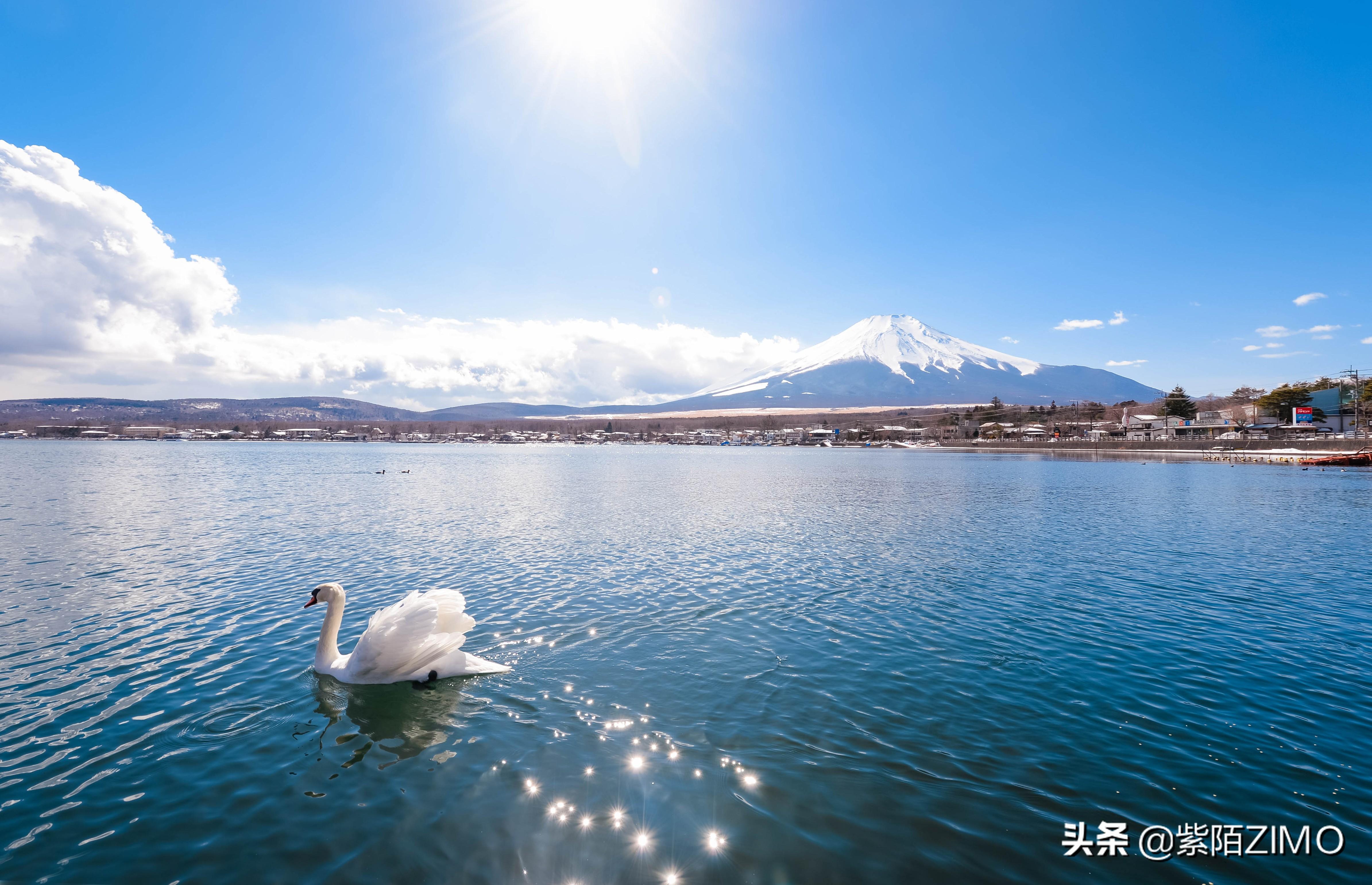 领略科技与自然共舞的魅力，最新九寨沟视频欣赏