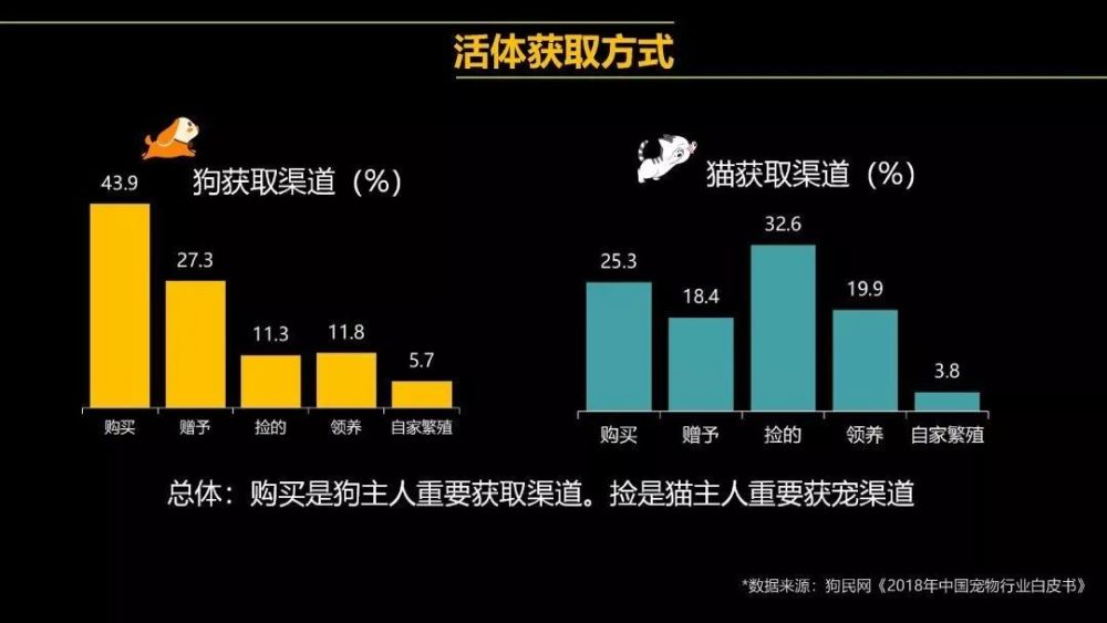 正版全年免费资料大全视频,网络安全架构_KMR973.51亚仙