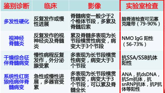 澳门今晚必中1肖，资料整合详尽解读_NBI949.6专版