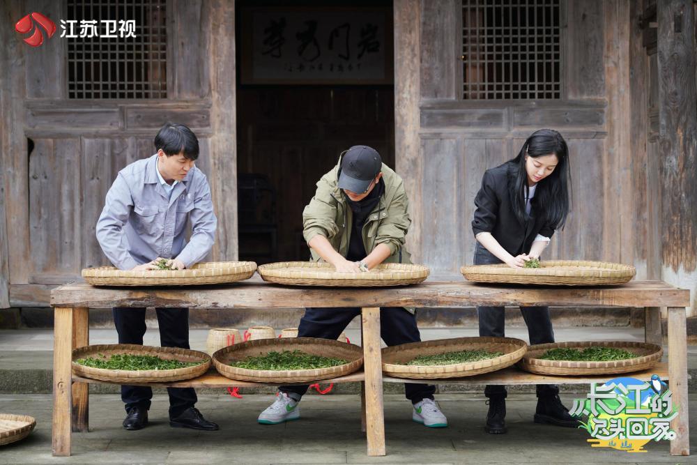 刘仪伟直播，探寻自然美景，寻觅内心平和之旅