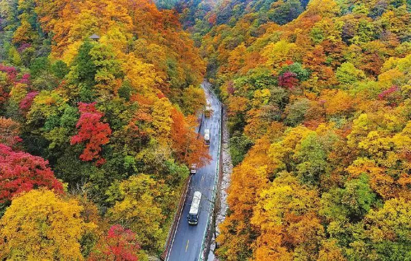 最新光雾山路况更新