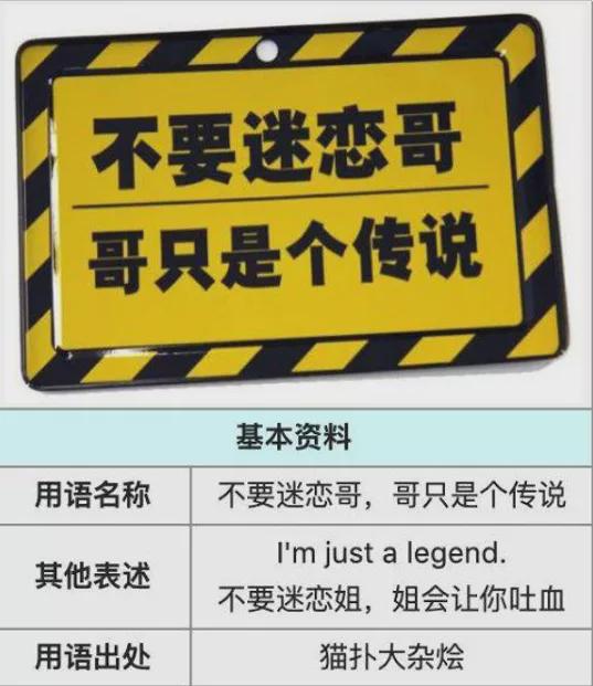 揭秘79456濠江论坛生肖九半点杀势，深度剖析与解读_AKH68.798云端版