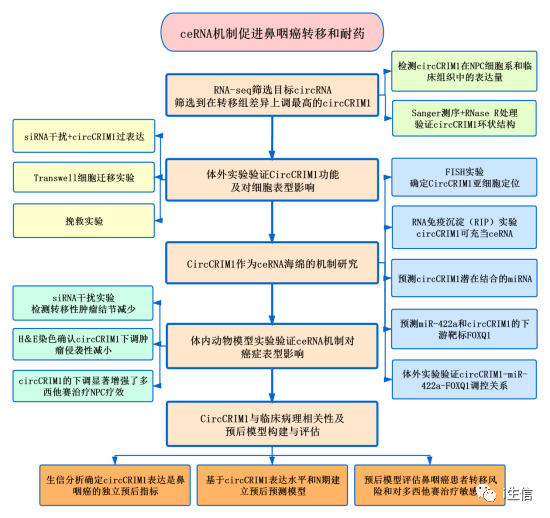 新奥内部机制评估精准资料，QTS68.917快速版方案