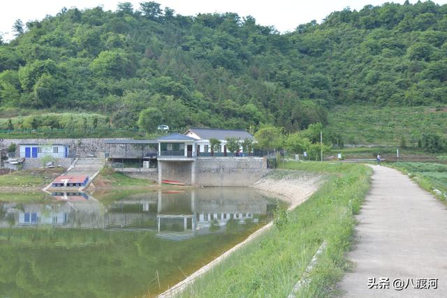 汉中陈村水库夏日动态，水库边的欢乐时光