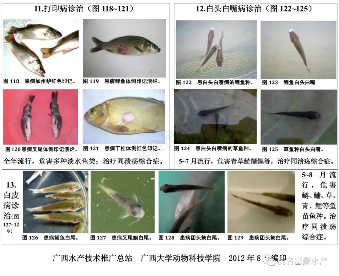 100%准确资料：水产基础医学_MAU2.24.36自由版