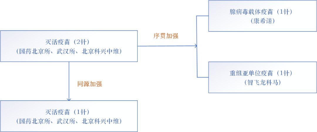 香港免六台彩图库：深入解析解答路径_VZN8.70.45外观版