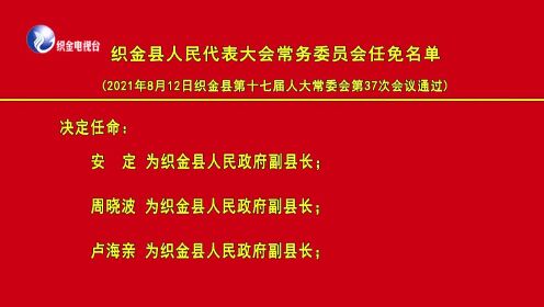 织金县最新被审查人员名单,创新策略设计_ION98.246传承版