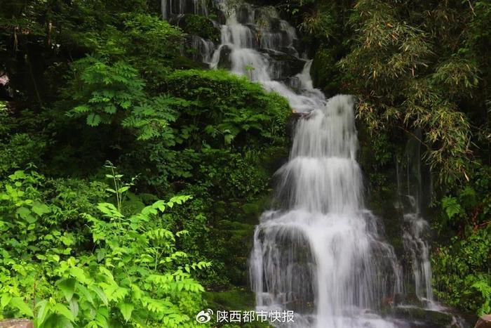 赘婿最新章节与内心宁静之旅，自然美景引发笑声