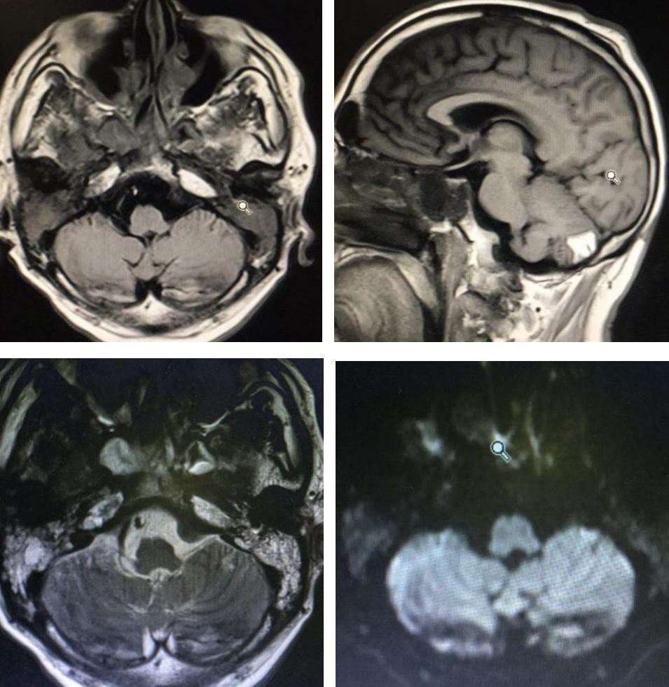 15049con澳门,实时数据分析_MRI51.175快速版