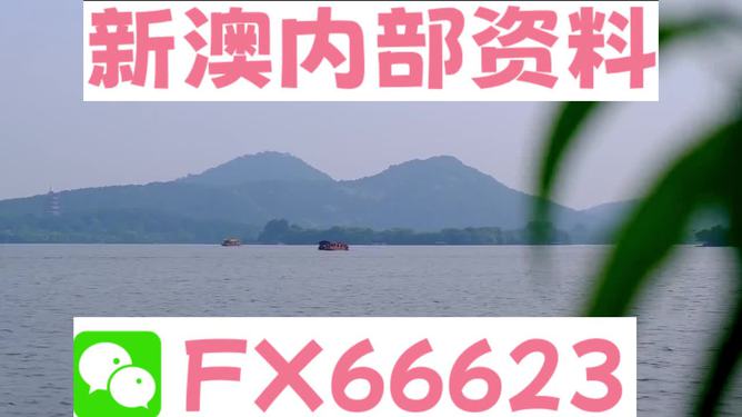 新澳2024资料免费大全版26333,时尚法则实现_VWL51.173增强版