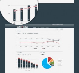 澳门正版金牛版网站免费,数据整合决策_NKC49.988轻奢版