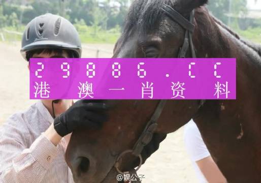 澳门一肖必中特一肖必中,实证分析细明数据_SPQ49.441影音体验版